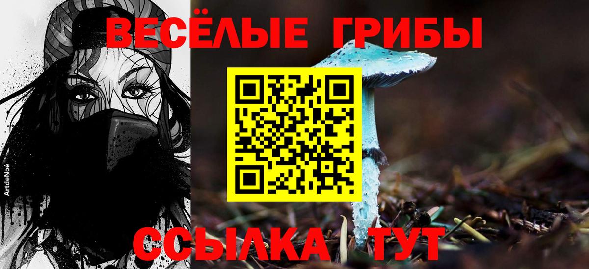 Псилоцибиновые грибы Cubensis Добрянка